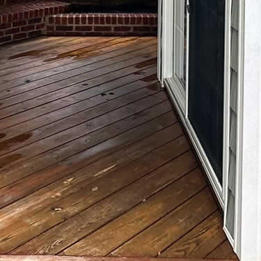 Deck and Fence Cleaning